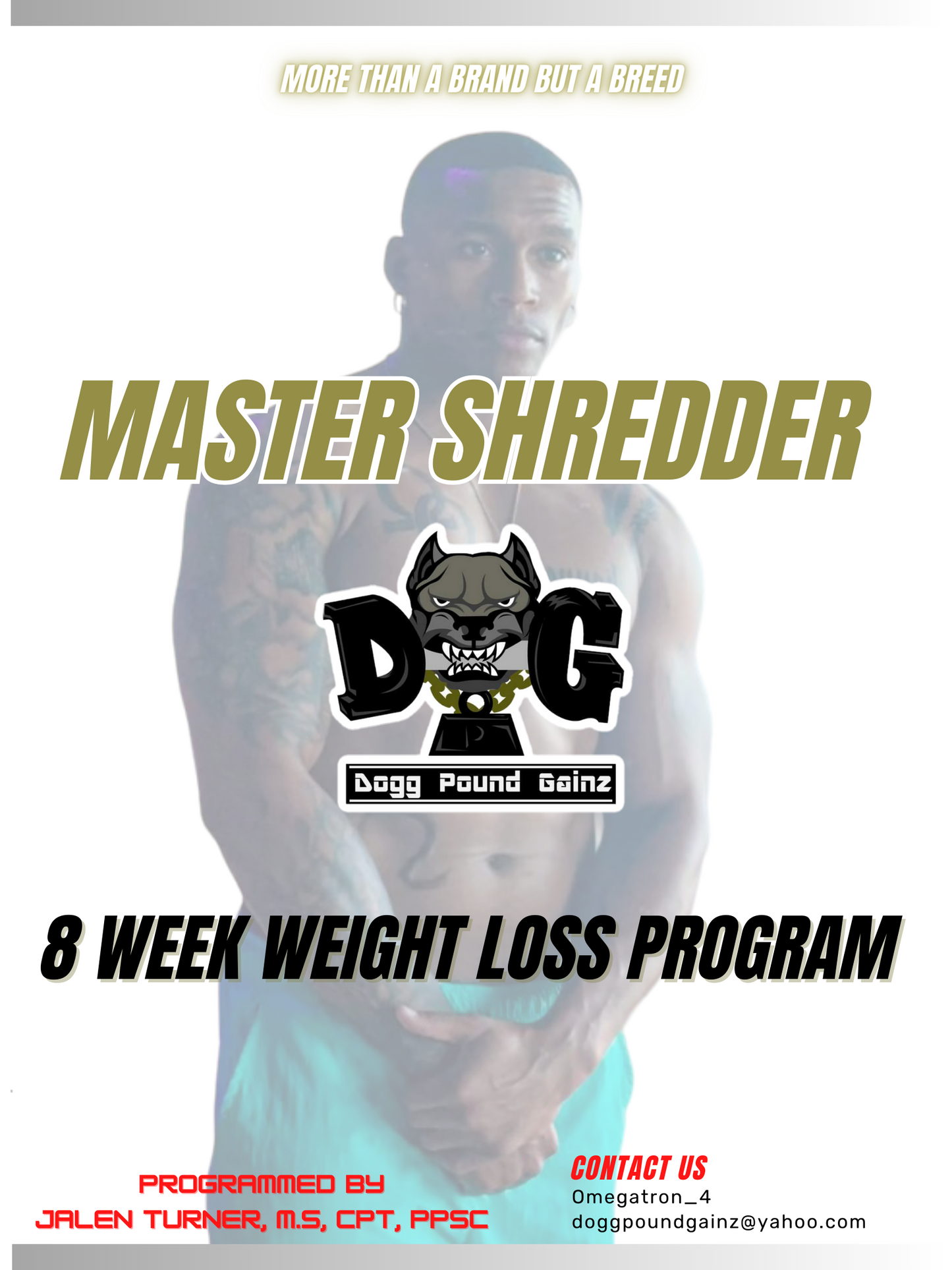Master Shredder
